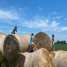 6e5d5841-7d25-4c59-ac60-7307c84de1f2.jpeg