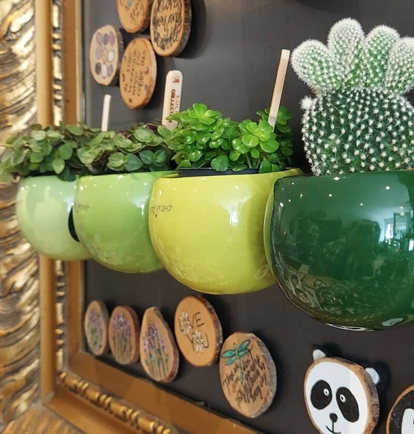 MAGNEETPOTJE | GROEN