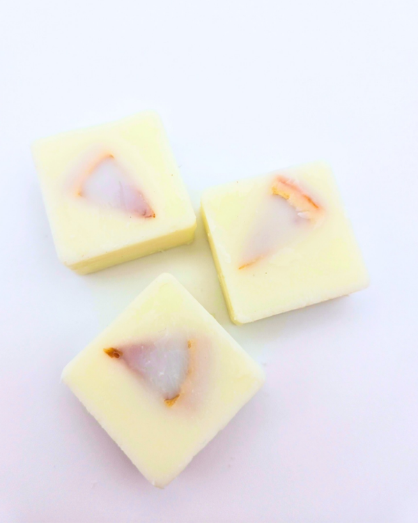 Mini - Sweet Orange Oasis - Wax Melts (12 per box)
