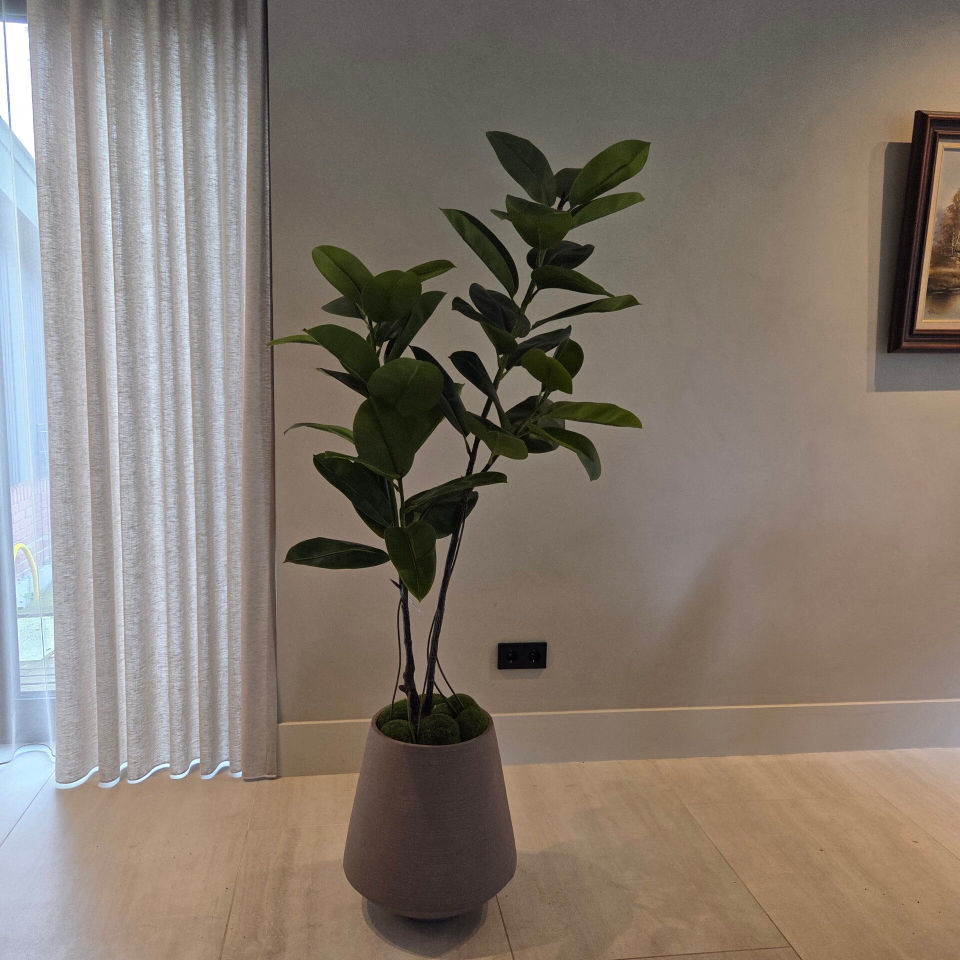 Rubberboom 155cm