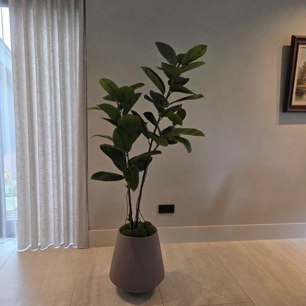Rubberboom 155cm