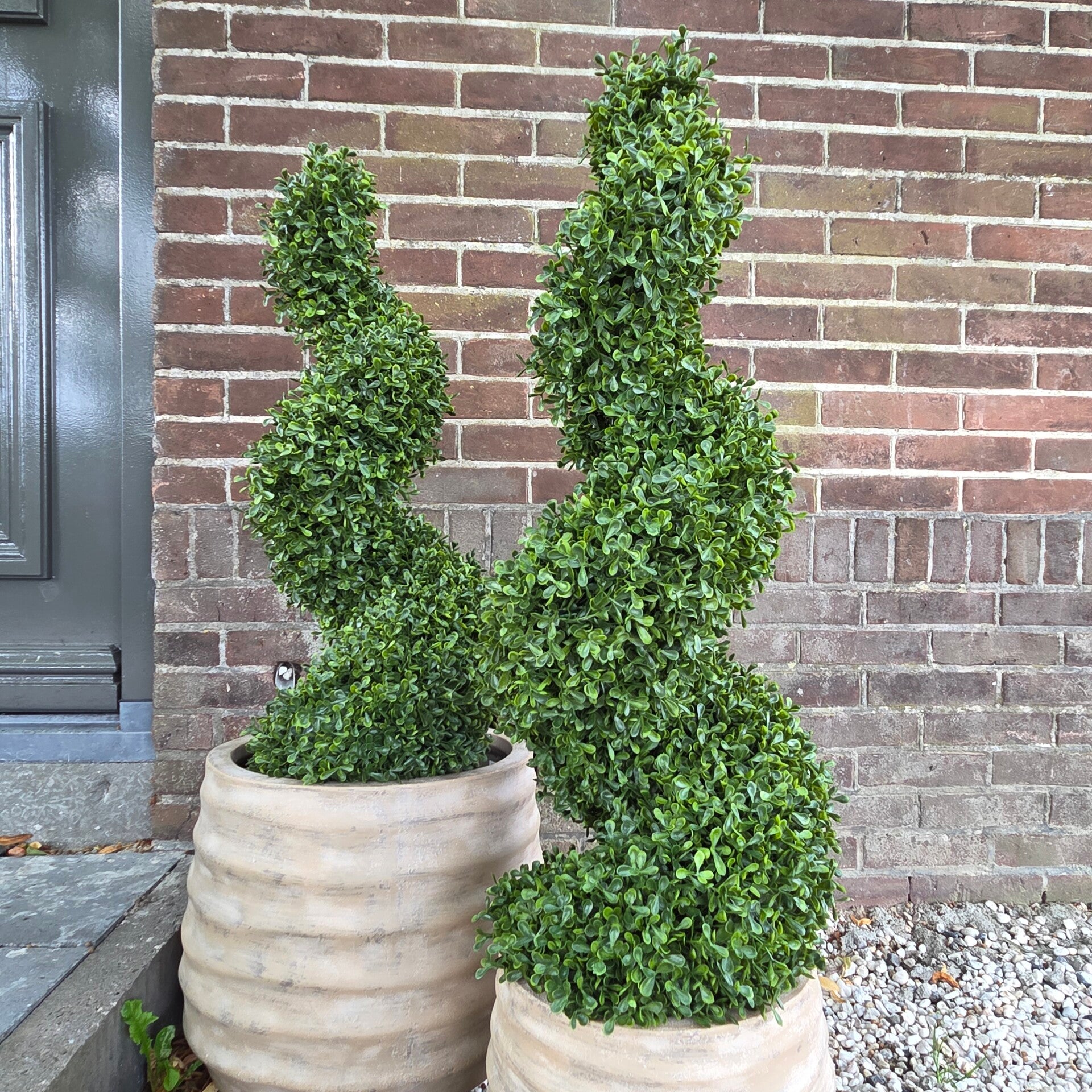 Buxus spiraal 93cm