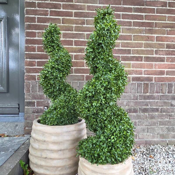Buxus spiraal 93cm