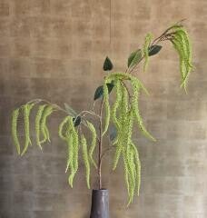 Amaranthus tak groen 100cm Emerald