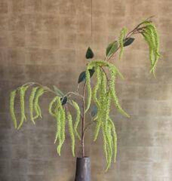 Amaranthus tak groen 100cm Emerald