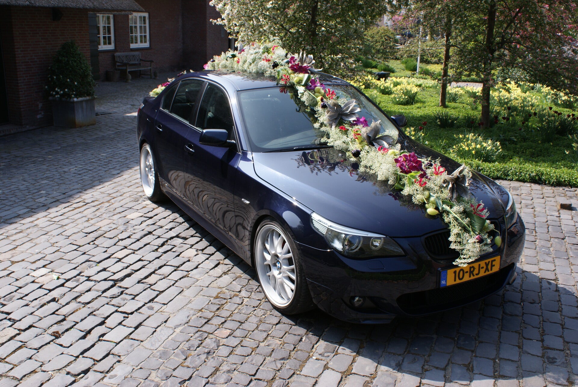 dsc06441-standard.jpg
