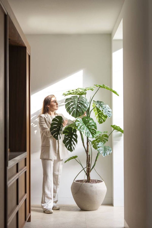 Monstera 180cm Silk House Europe