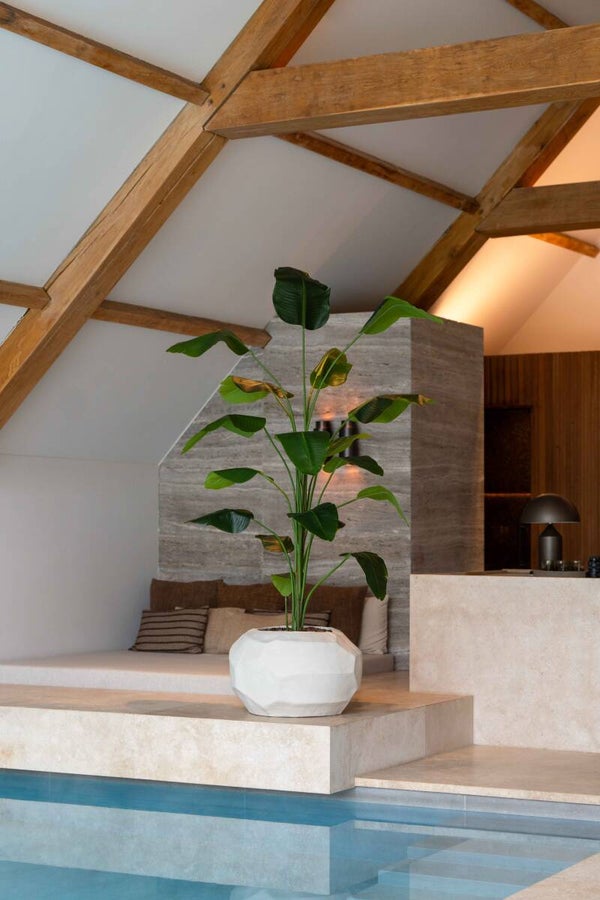 Strelitzia 240cm Silk House Europe