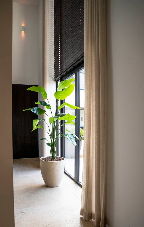 Strelitzia 210cm Silk House Europe