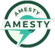 AMESTY SERVICES LLC
