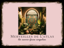 Merveilles de L'atlas