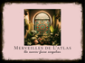 Merveilles de L'atlas
