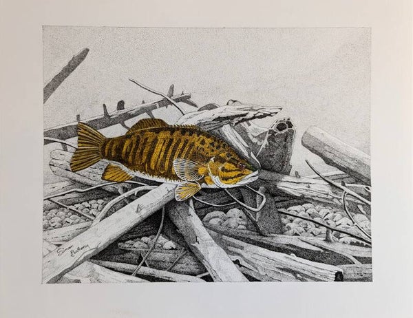 "Smallmouth On The Hunt"
