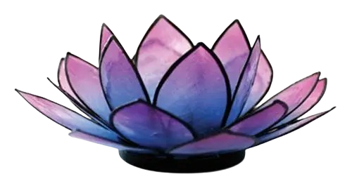 Lotus fyrfadslysholder - Pink-Turquis
