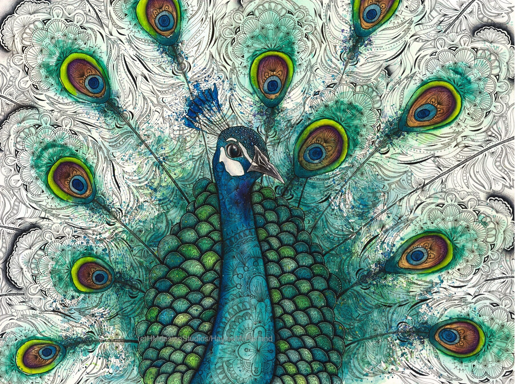 Kunst plakat Påfugl