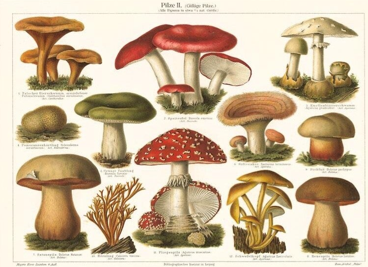 Vintage postkort - enkelt