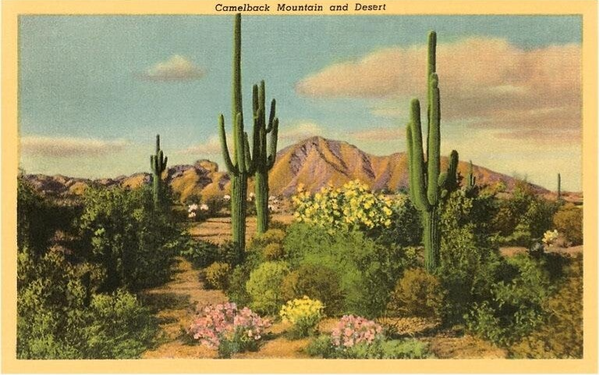 Vintage postkort - enkelt