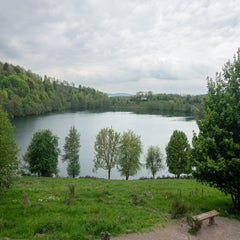 dsc02267-standard.jpg