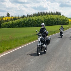 dsc02300-standard.jpg