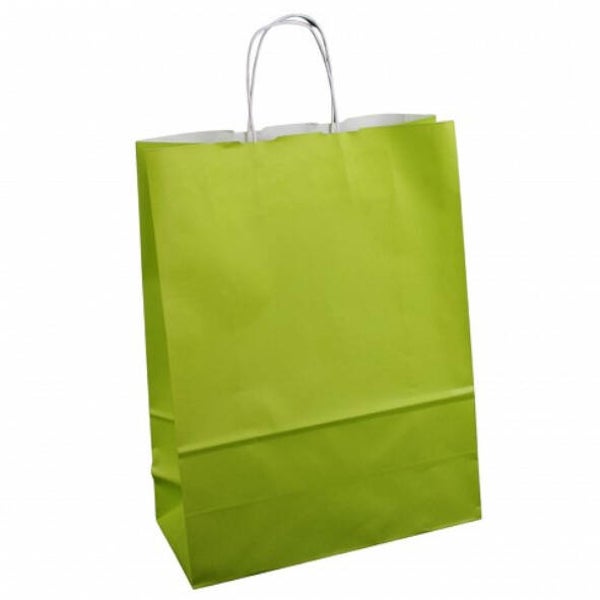 27.90.22 Tas papier lime 22 + 10 x 30cm gedraaid handvat ds 250st