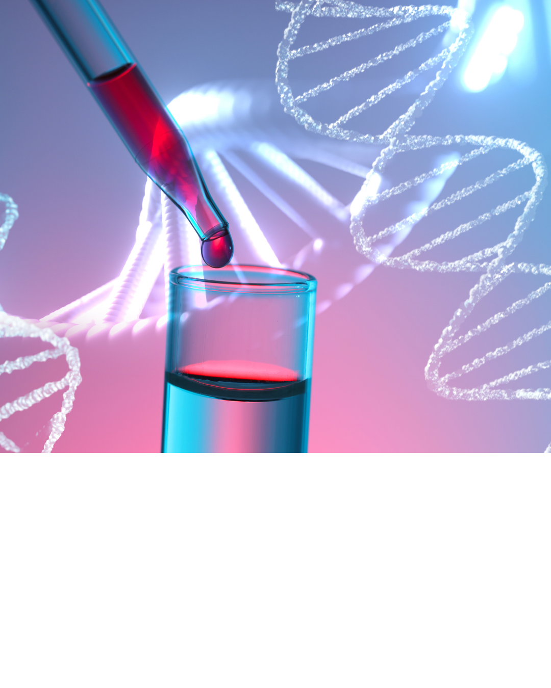 DNA-Doppelhelix symbolisiert die genetische Analyse von Stoffwechsel und Nährstoffverwertung