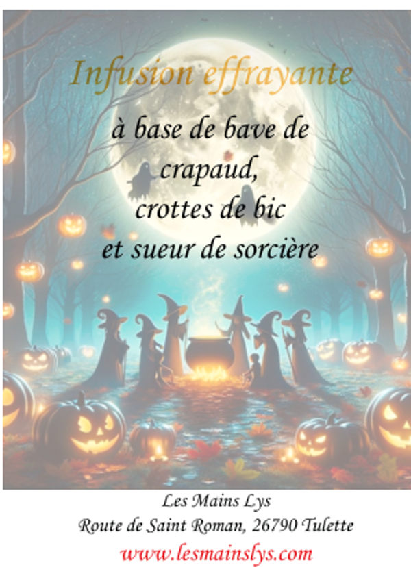 Infusion effrayante à la bave de crapeau, crotte de bique et sueur de sorcières!