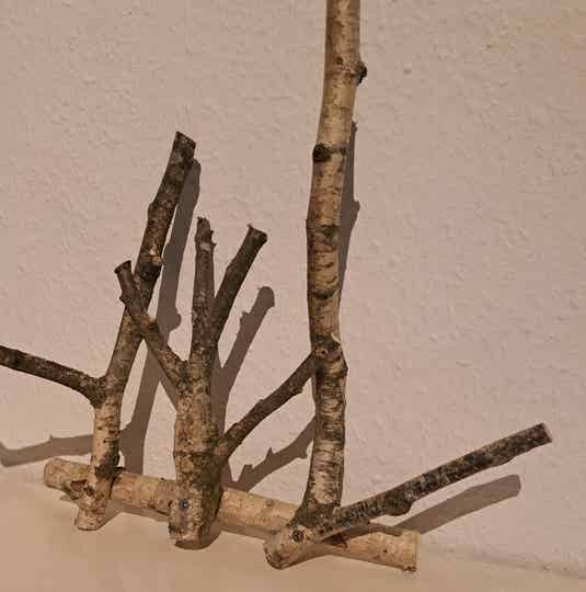 Vielseitige Natur-Haken echte Birke nachhaltig und umweltbewusst