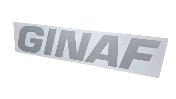 Ginaf Logo wit/zilver 485x110