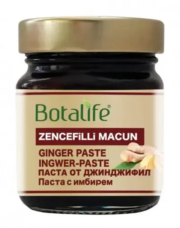 Zencefil Macunu