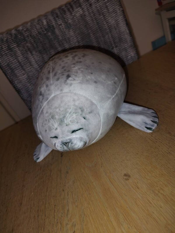 Zeehond kussen