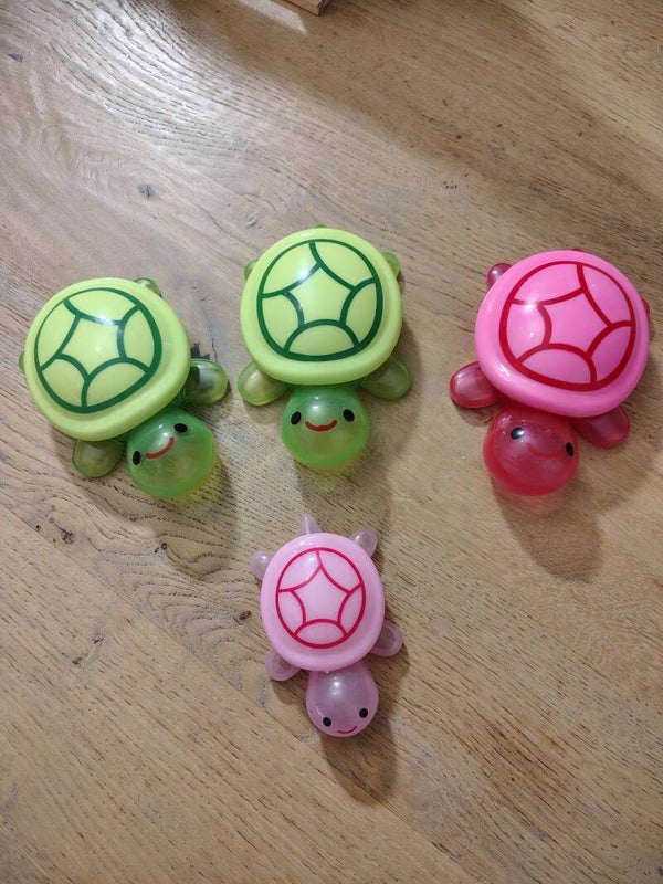 Turtle