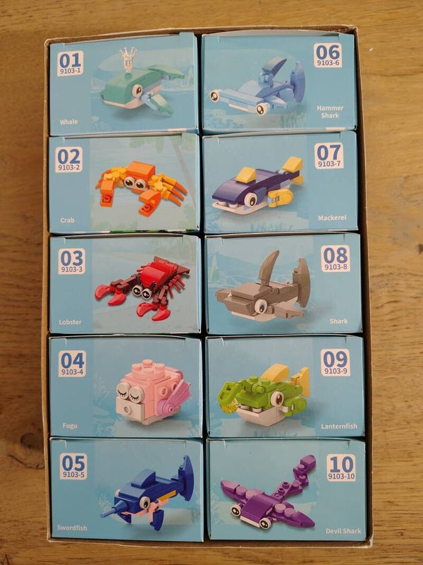 Animals ocean