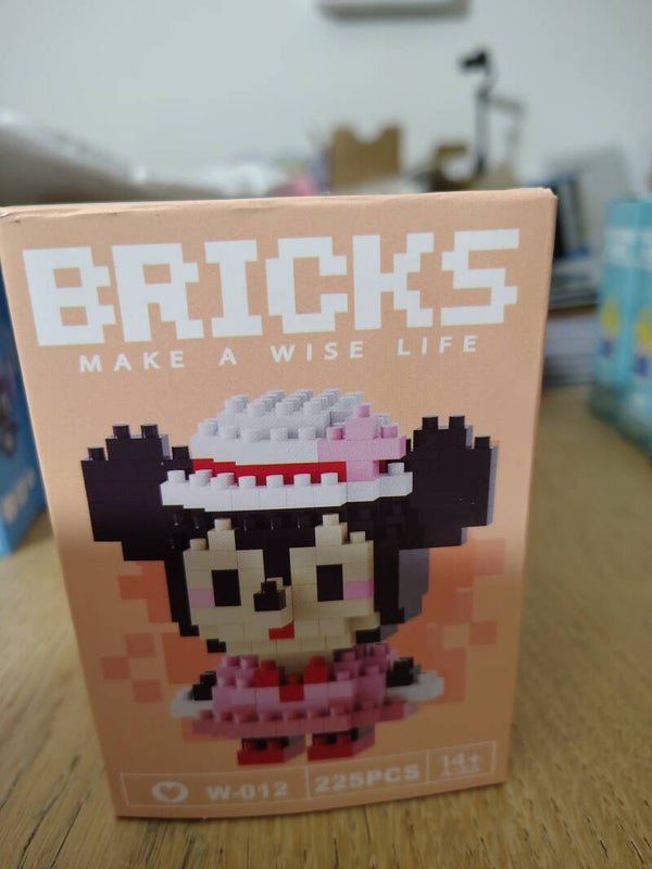 Minnie mouse bricks