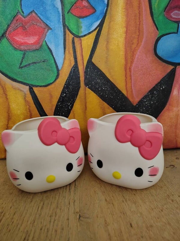 Hello kitty 🐈