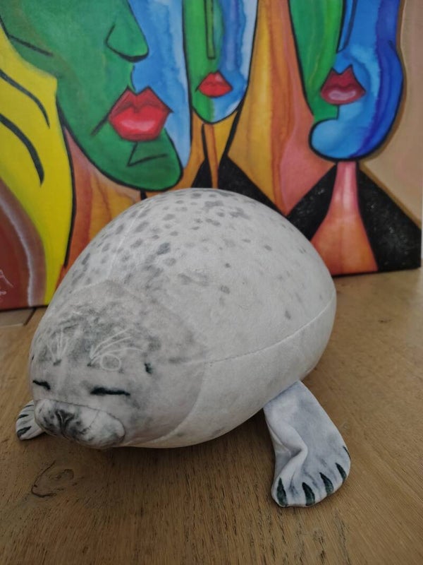 Zeehond kussen