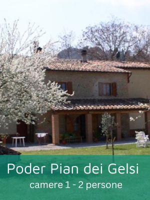 Esclusiva casa vacanze vicino a Volterra. Il nostro antico casale della metà dell'Ottocento, recentemente ristrutturato nel rispetto della tradizione, offre un perfetto punto di partenza per esplorare la Toscana.