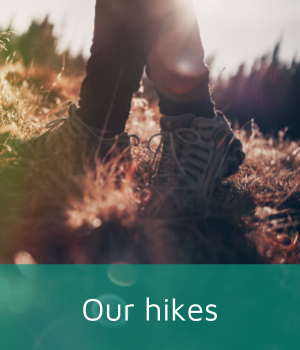Two feet wearing hiking boots on a walking path between the grass and sunbeams.