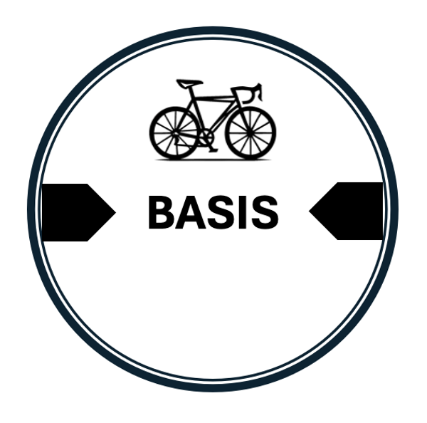 Basissponsor