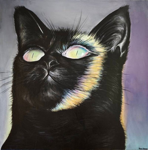 Rainbow Cat