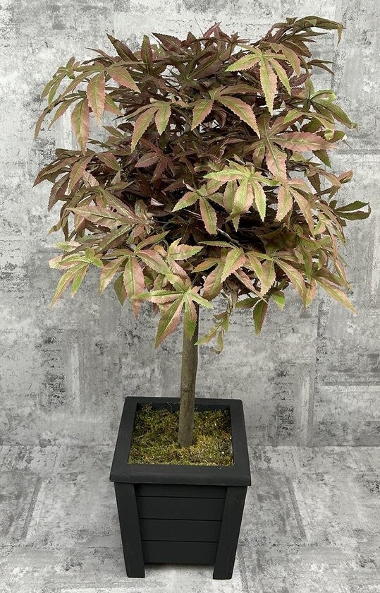 Japanse Esdoorn - Kunstboom - H 90 cm - incl. zwarte houten pot -