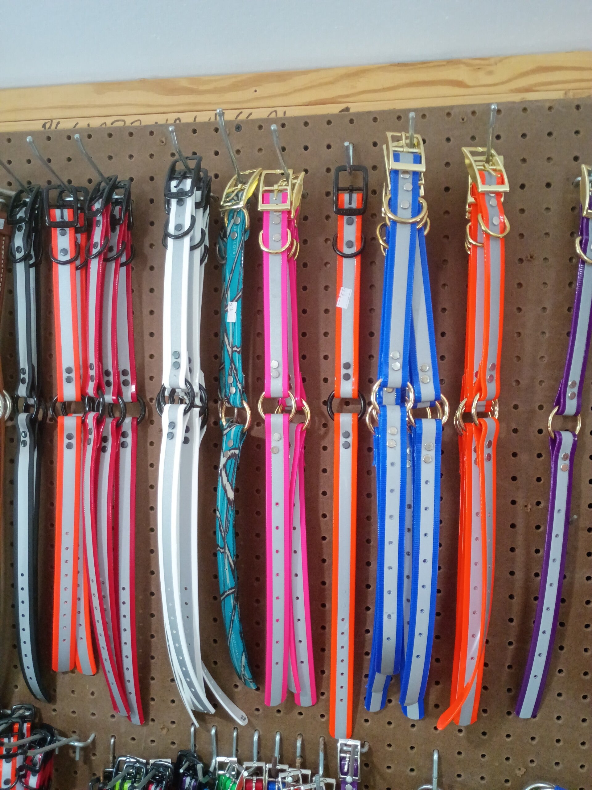 1 inch dayglow collar
