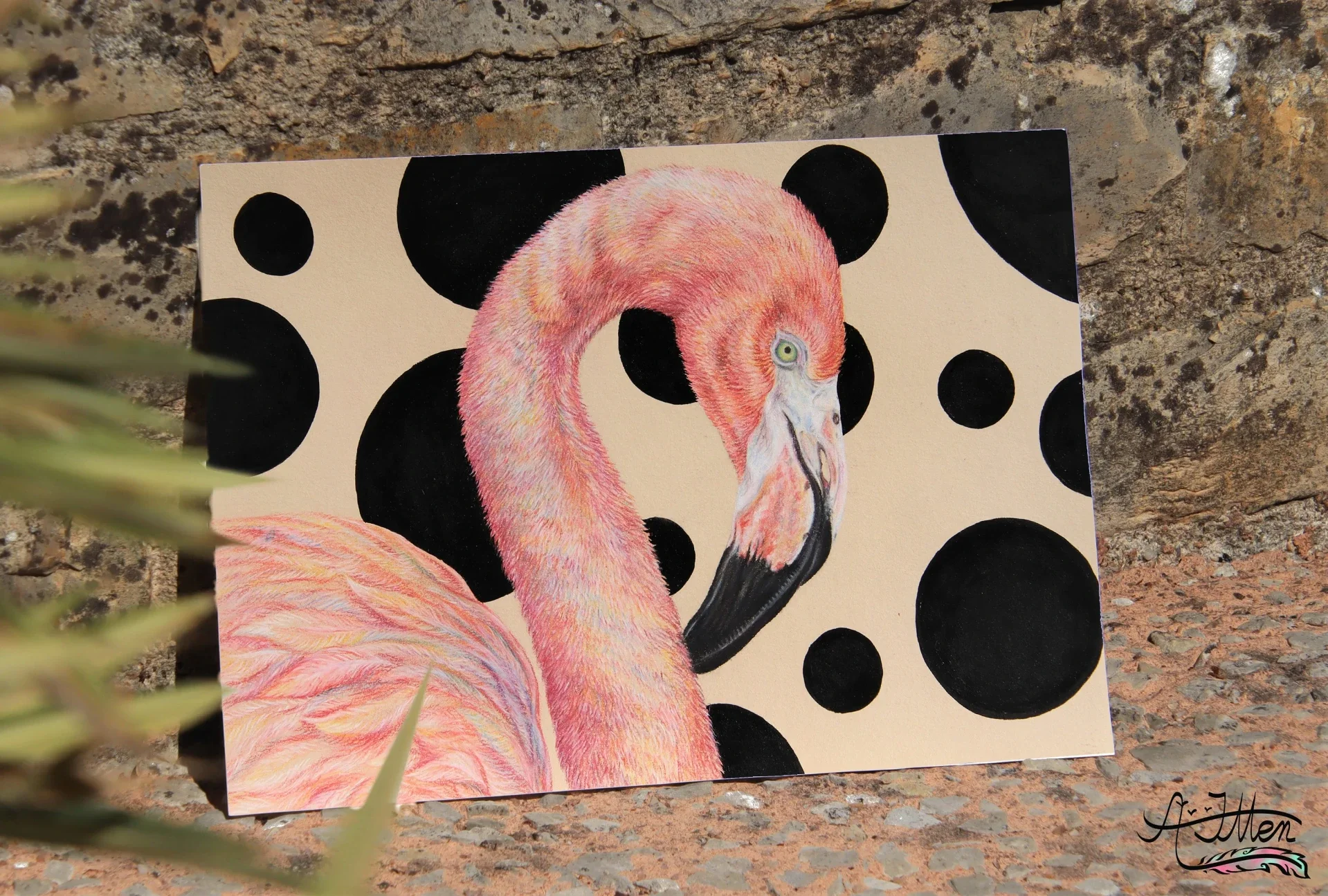 Illustration Flamand rose et acrylique