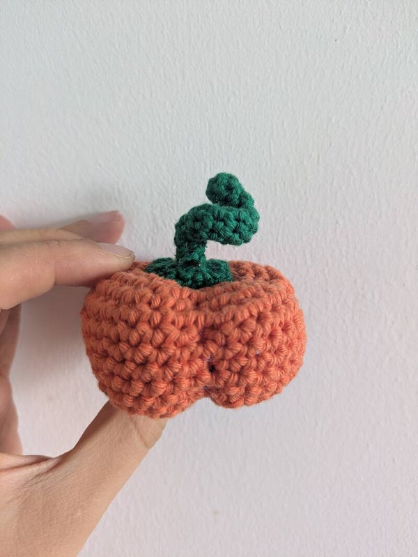 Citrouille décorative (sur rondin de bois ou non)