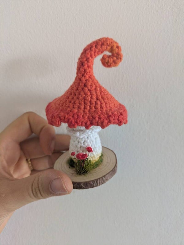 Champignon et végétation sur rondin de bois