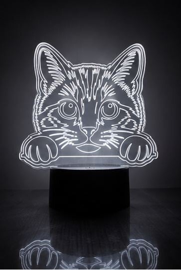 Ledlamp - Poes
