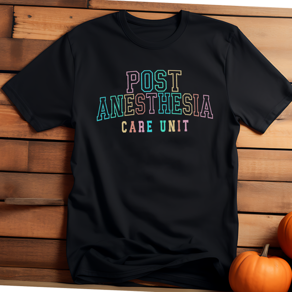 Post Anesthesia Nurse