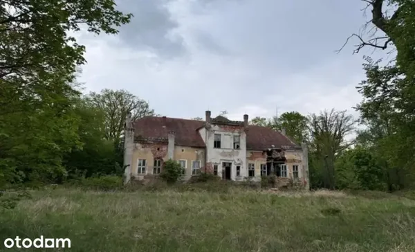 Zabytkowy zespół pałacowo-parkowy z wyjątkowym potencjałem inwestycja