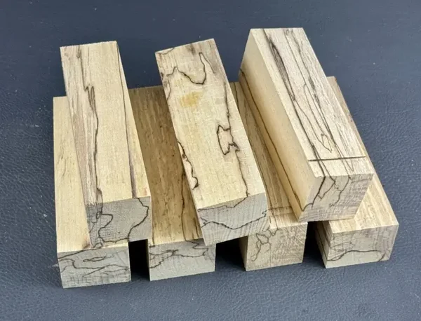 Beuk met slaap (schimmelsporen)