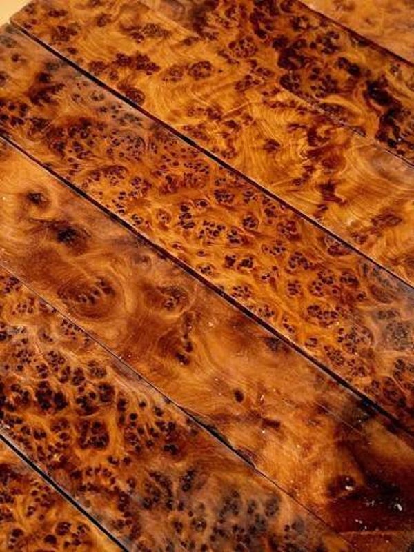 Thuya Burl