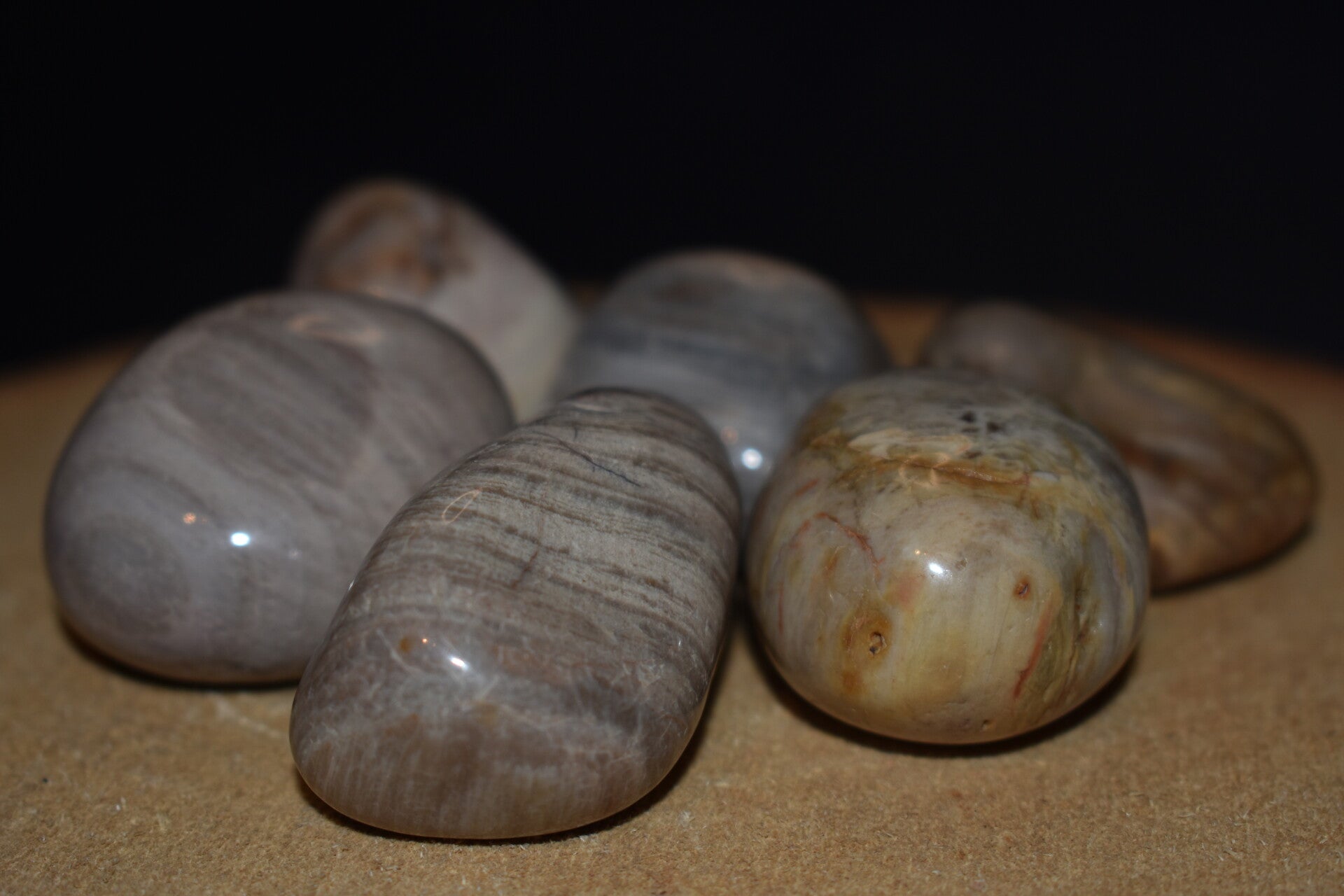 Bois Fossilisé - Pierre Roulée